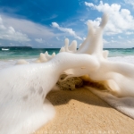 Foam Andaman Island by Arindam Bhattacharya