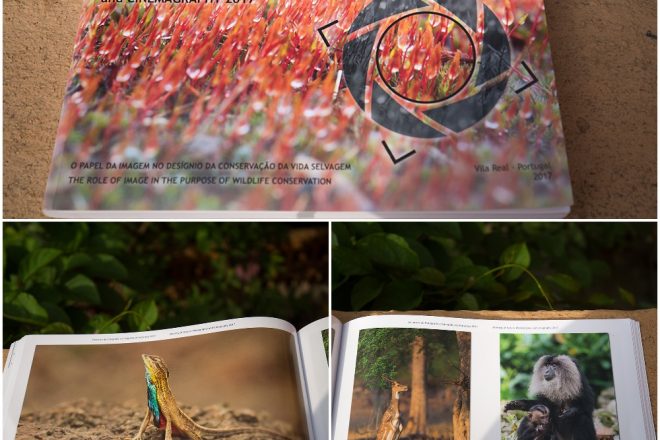 Arindam Bhattacharya Photography publications