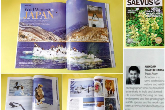 Arindam Bhattacharya Saevus Wildlife publication