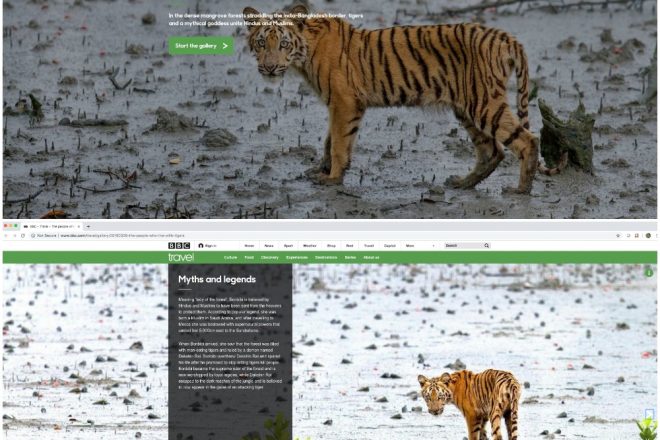 BBC Travel Sunderbans Tiger by Arindam Bhattacharya