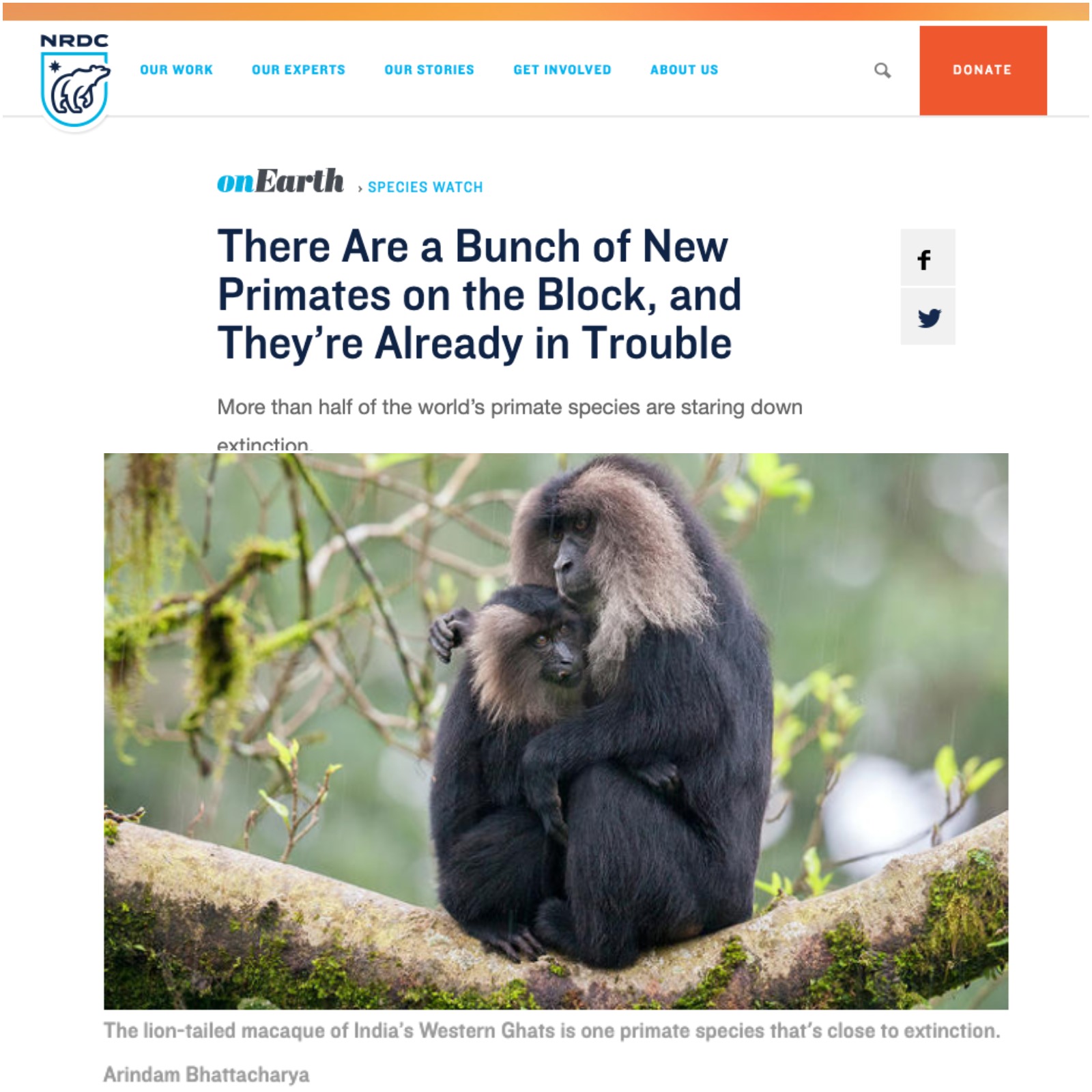 arindam bhattacharya wildlife photographer India: https://www.nrdc.org/onearth/there-are-bunch-new-primates-block-and-theyre-already-trouble