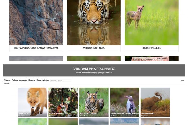 arindam bhattacharya indian nature and wildlife photography