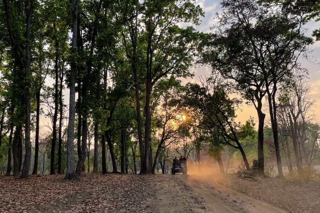 Kanha tiger reserve landscape by Arindam Bhattacharya photography