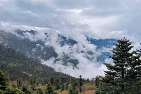 Landscape of East Sikkim Himalaya Silk Route India