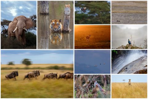 memories of 2022 by Arindam Bhattacharya